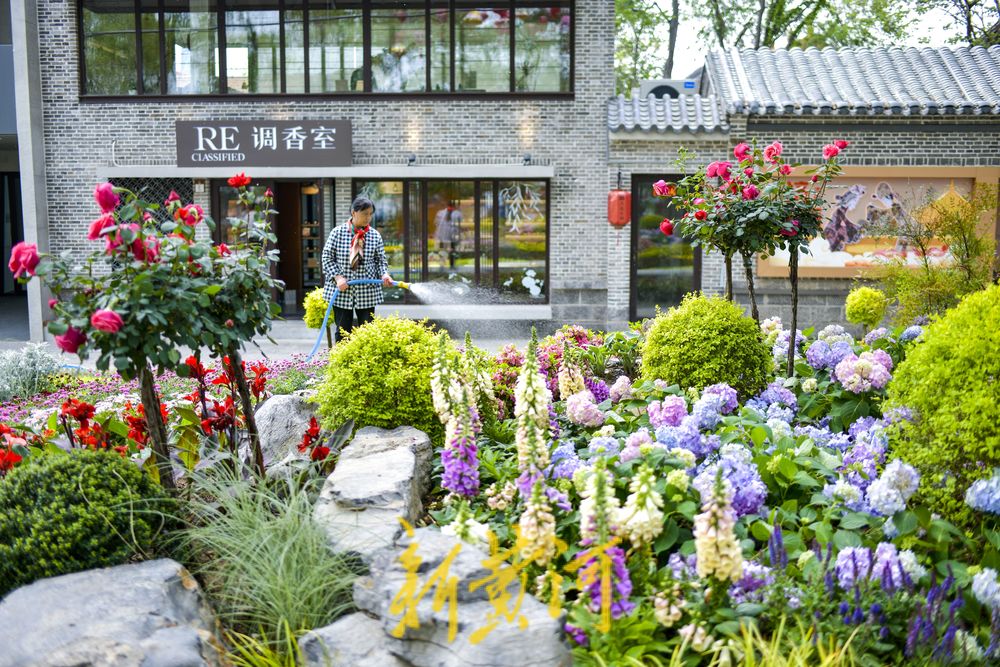 老城街巷里的“莫奈花园” 感受限定版的古城浪漫   