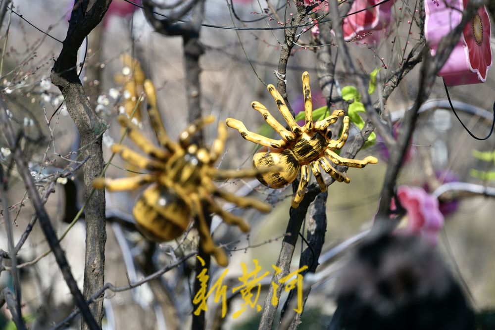 五龙潭迎春花灯启动安装，将化身梦幻光影乐园点亮泉城