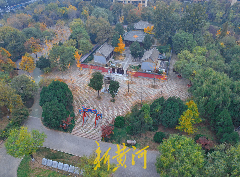 初冬银杏黄 济南兴福寺公园初冬景色惊艳醉人