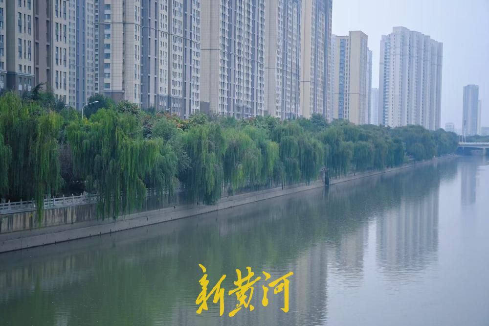 秋雨薄雾笼罩，济南小清河美成水墨诗画