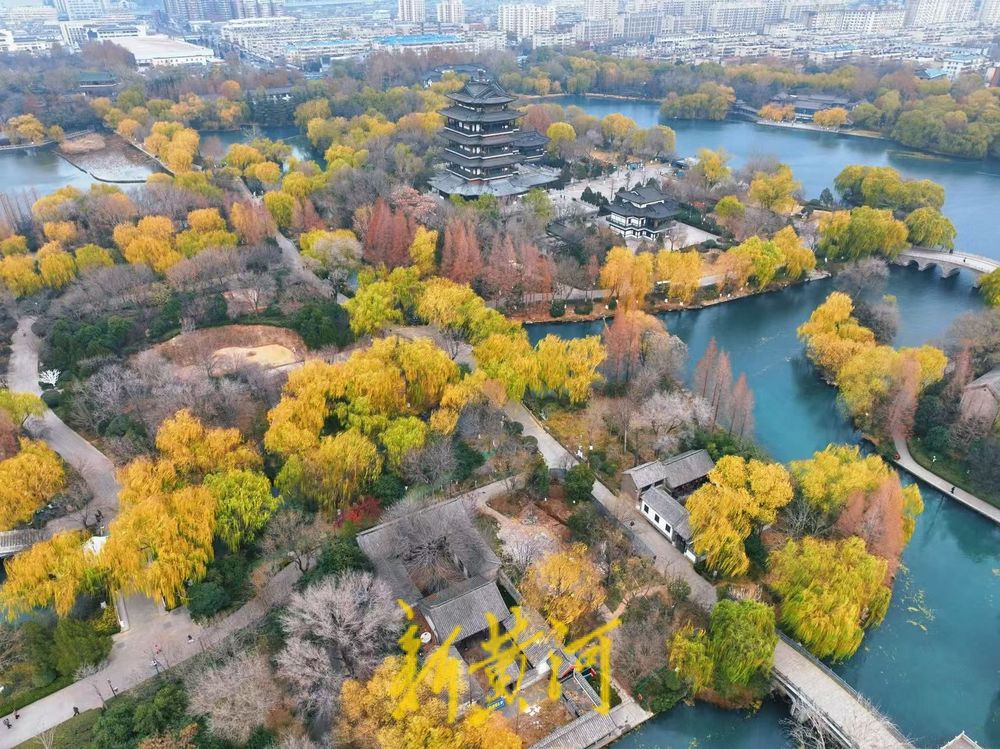 一年四季 泉在济南丨低温下的大明湖，限定版“梦幻童话”正在上演