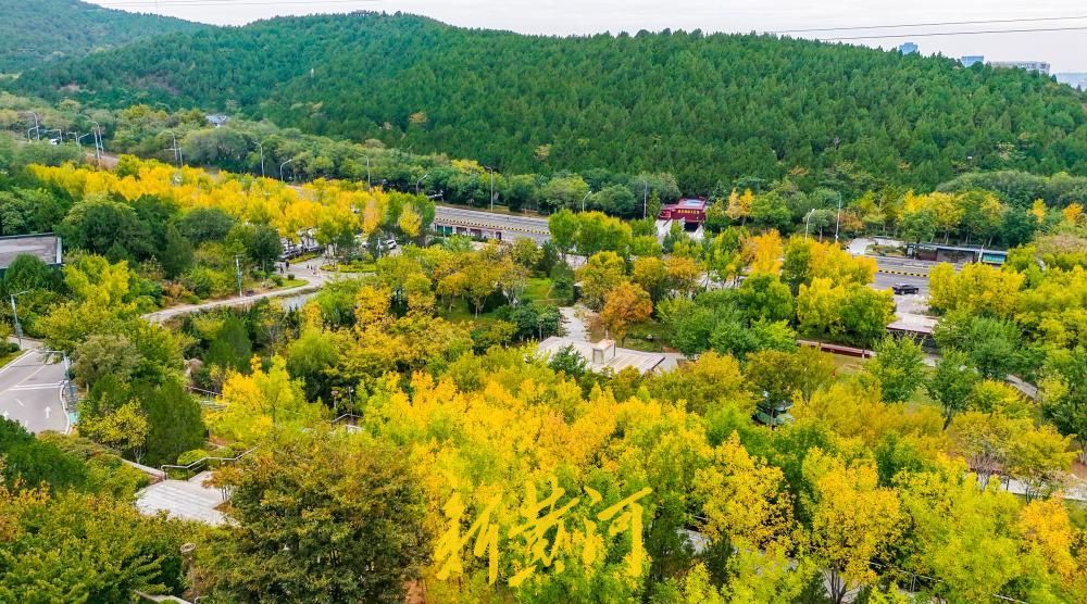 一年四季 泉在济南丨旅游路 “调色盘”上线 济南佛慧山北门层林尽染如诗如画
