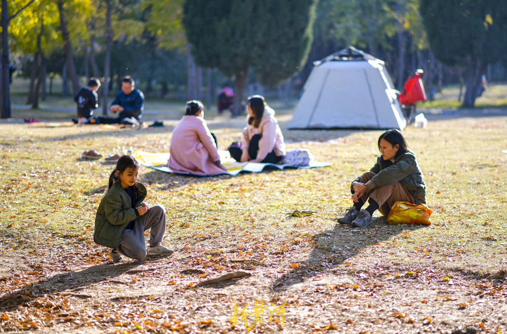 气温回升秋去秋又回  最美共享绿地感受初冬暖阳