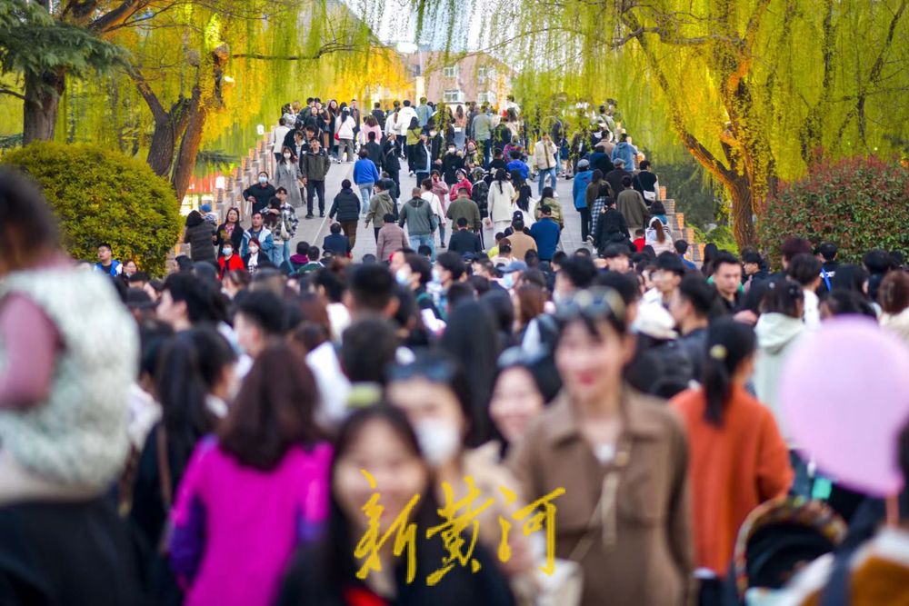 泉城春季旅游市场火爆 网红打卡点人气旺