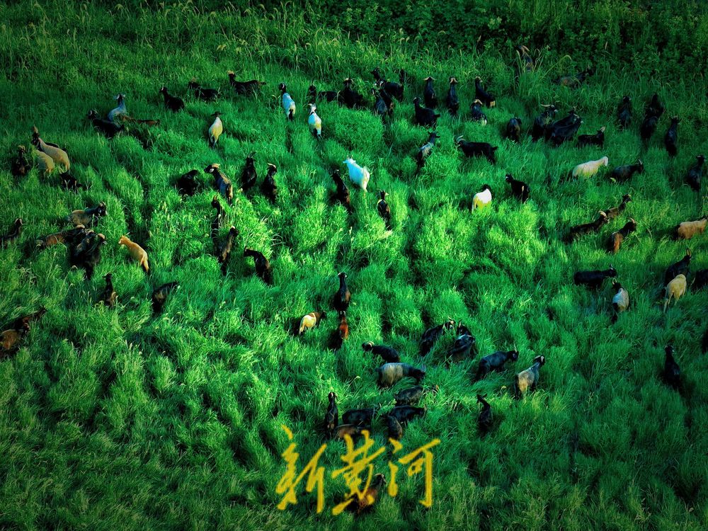 傍晚的济南南部山区版“阿勒泰” 宁静而壮美