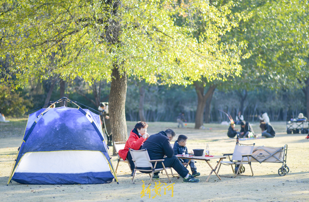 气温回升秋去秋又回  最美共享绿地感受初冬暖阳