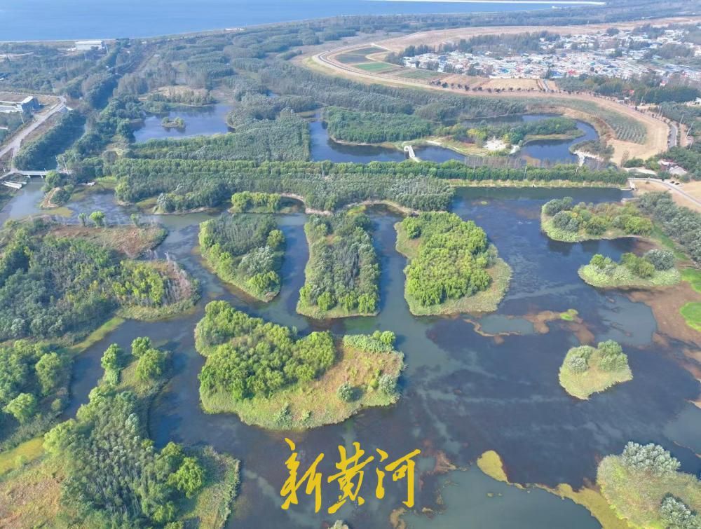赏秋好去处，济南小清河源头湿地公园美景上线