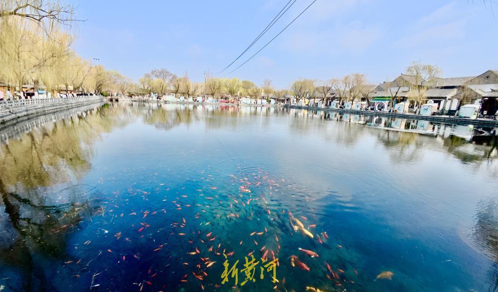 雨雾散尽晴空归来 泉城迎来湛蓝通透天