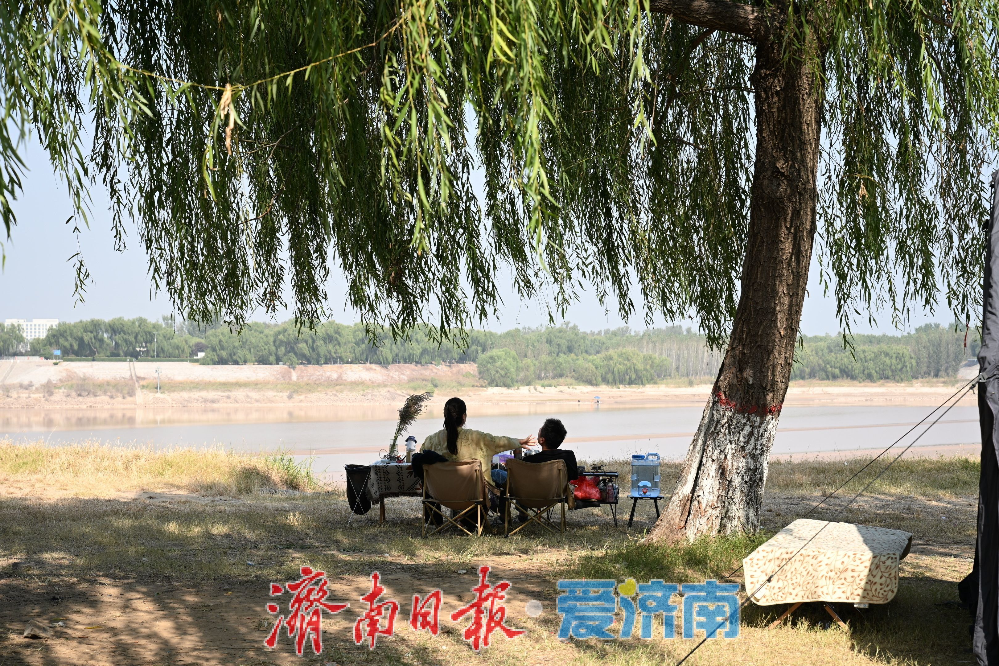 秋韵满黄河，露营引人流，济南黄河沿岸成休闲新地标