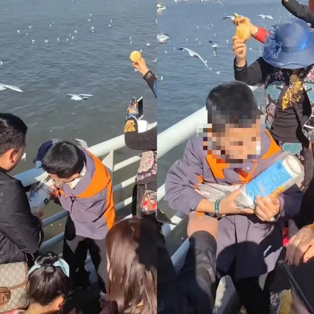 父母帮男孩抓海鸥塞塑料罐，昆明警方：已要求涉事者写悔过书