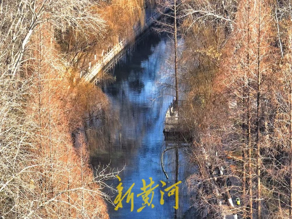 深冬暖如春 泉城护城河畔尽显生机勃勃景象  