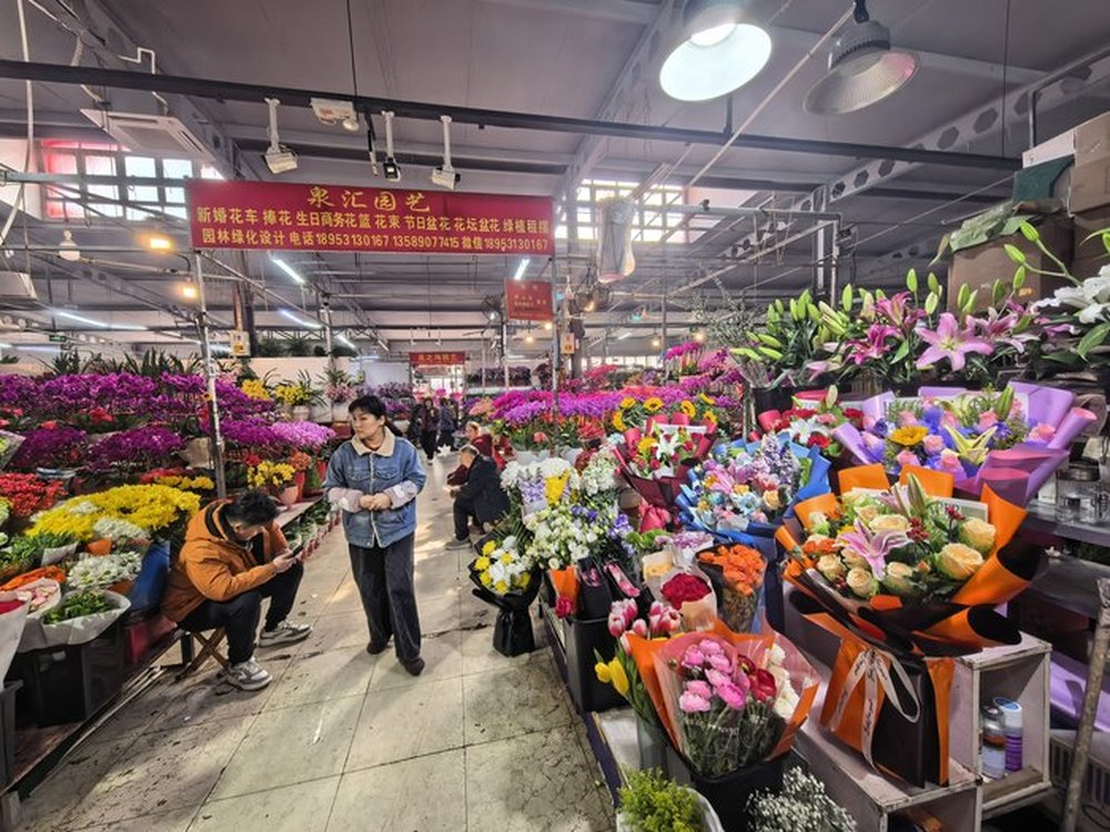 春节邂逅情人节，济南市场迎来玫瑰花销售热潮