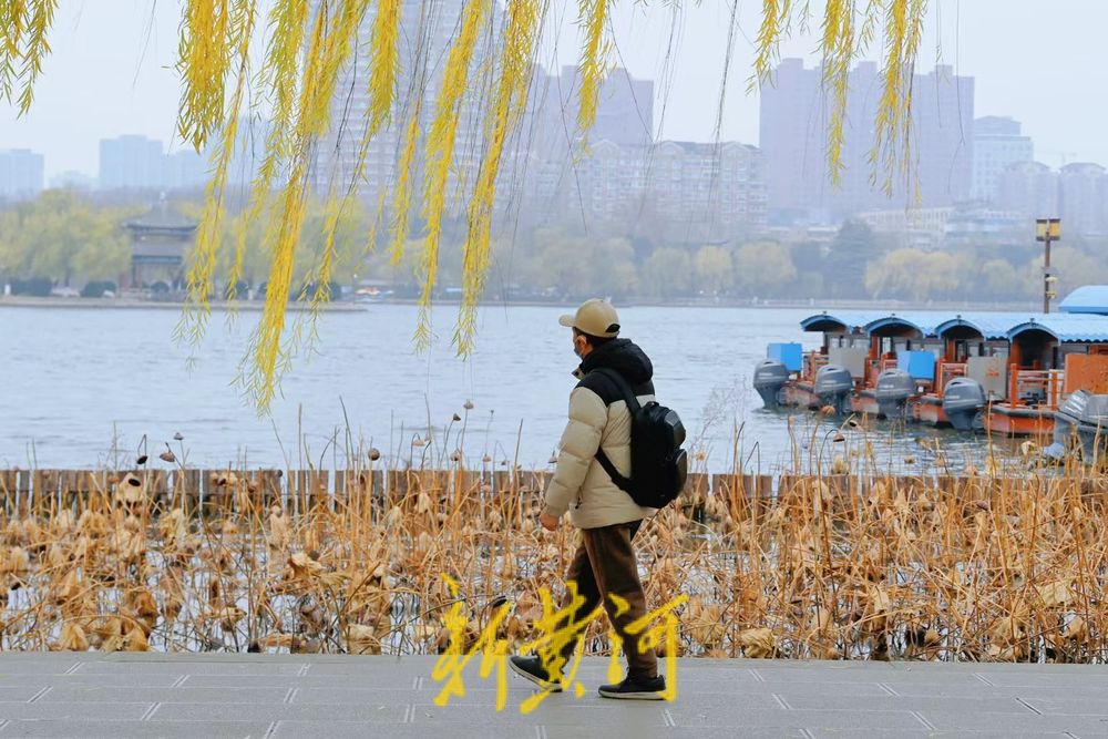 一年四季 泉在济南丨寒潮难挡游湖热情，游客寒风中尽享明湖风光