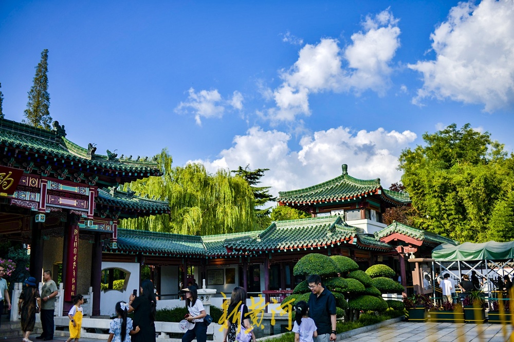 当蓝天白云映入趵突泉，一场梦幻邂逅浪漫上演