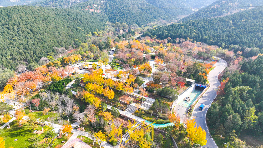 旅游路变身“初冬画廊” 千佛山南麓现层林尽染美景