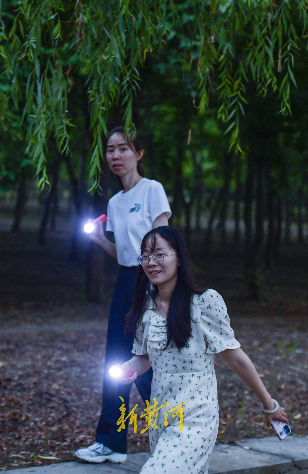 又到了摸知了猴的季节，树林里到处闪着手电筒的光