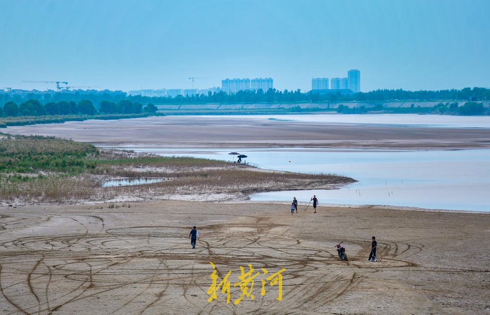 黄河济南段人造洪峰逐渐“退潮”，河滩露脸成纳凉好去处 