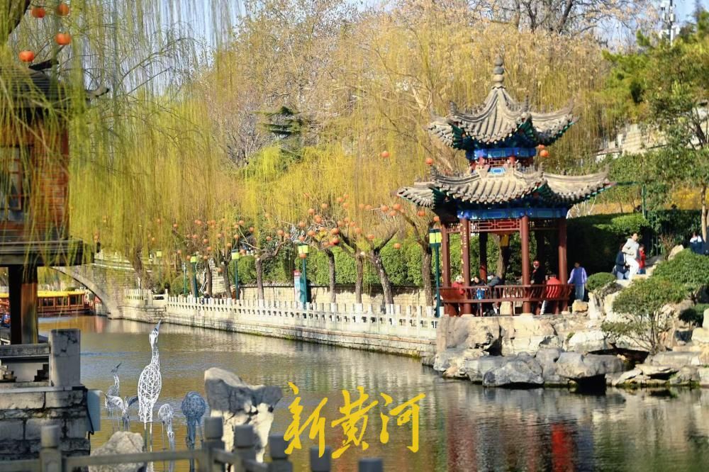 一年四季 泉在济南丨泉城春光好 嫩柳吐新芽