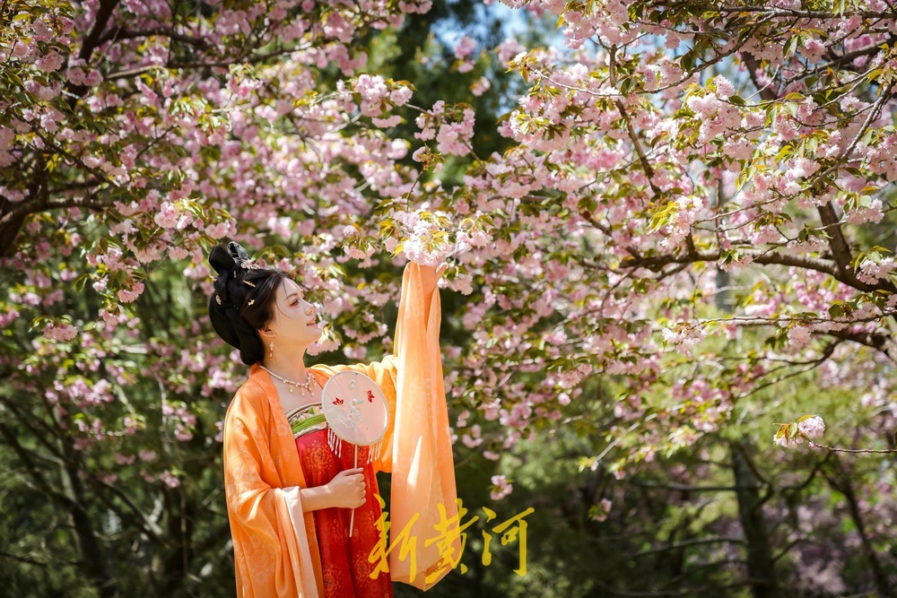 泉城四月天，美得好似打翻的调色盘