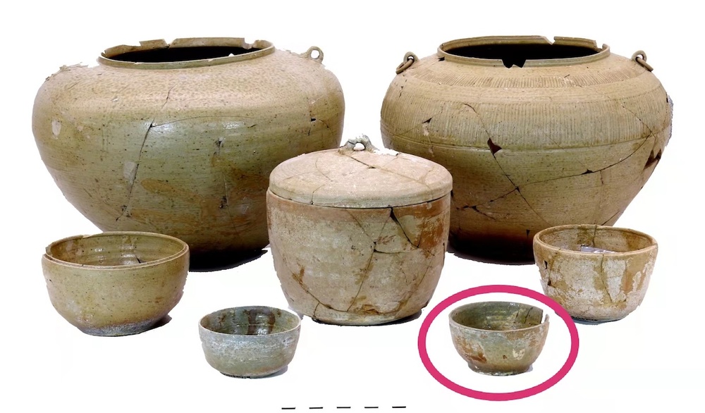 茶叶历史提前300年！山大考古团队发现世界最早茶叶遗存，专家揭秘背后故事