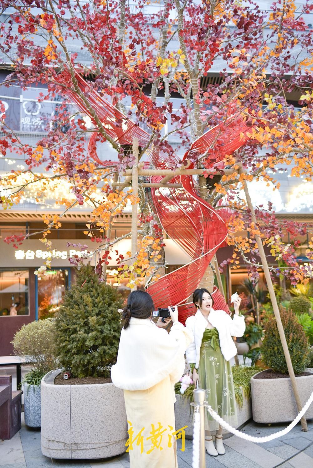 泉城商圈“新年红”点亮新春氛围