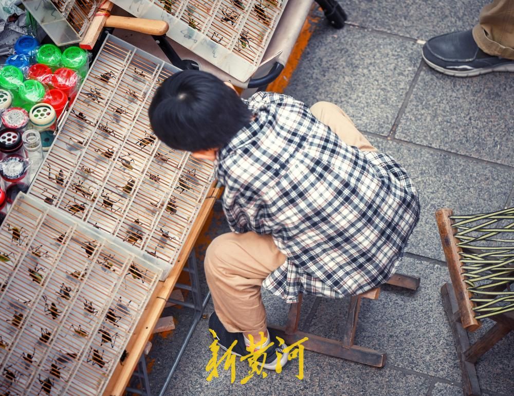 假期余额不足，济南英雄山文化市场热闹依旧