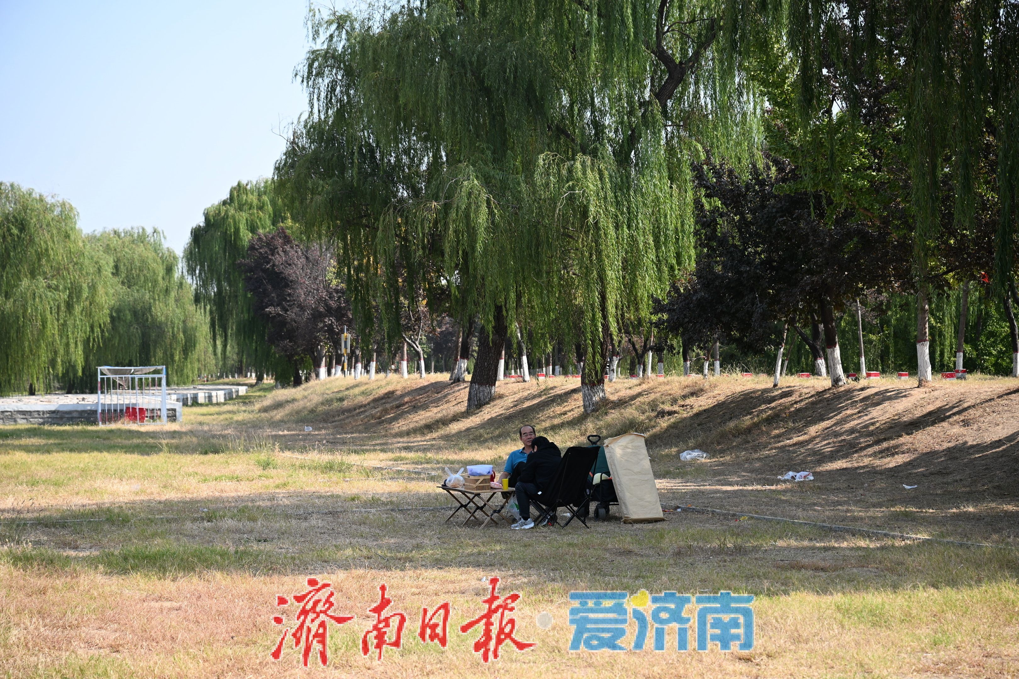 秋韵满黄河，露营引人流，济南黄河沿岸成休闲新地标