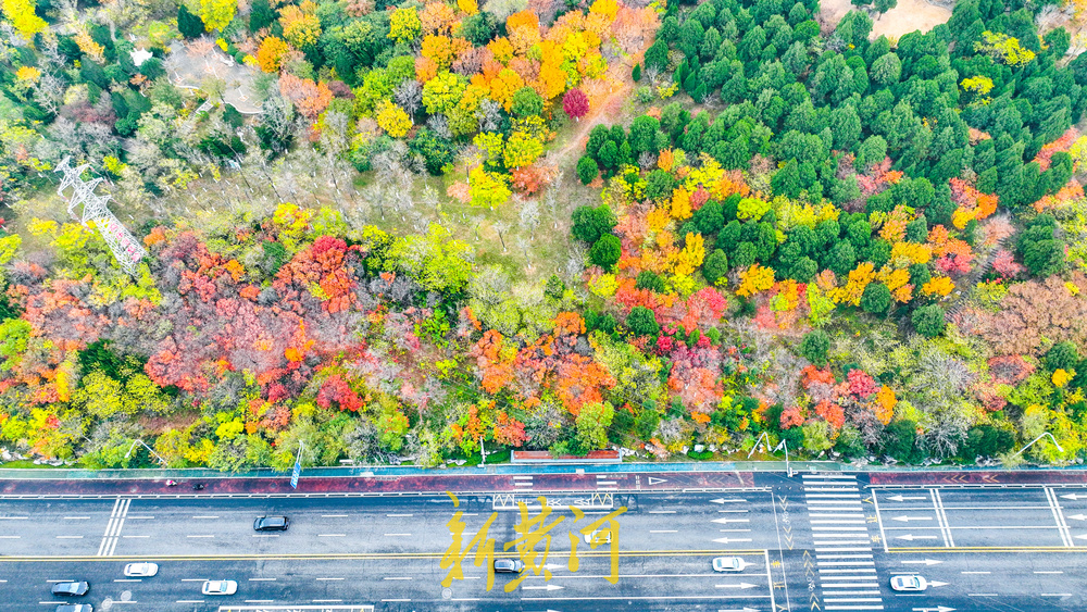 旅游路开启冬季颜值巅峰期