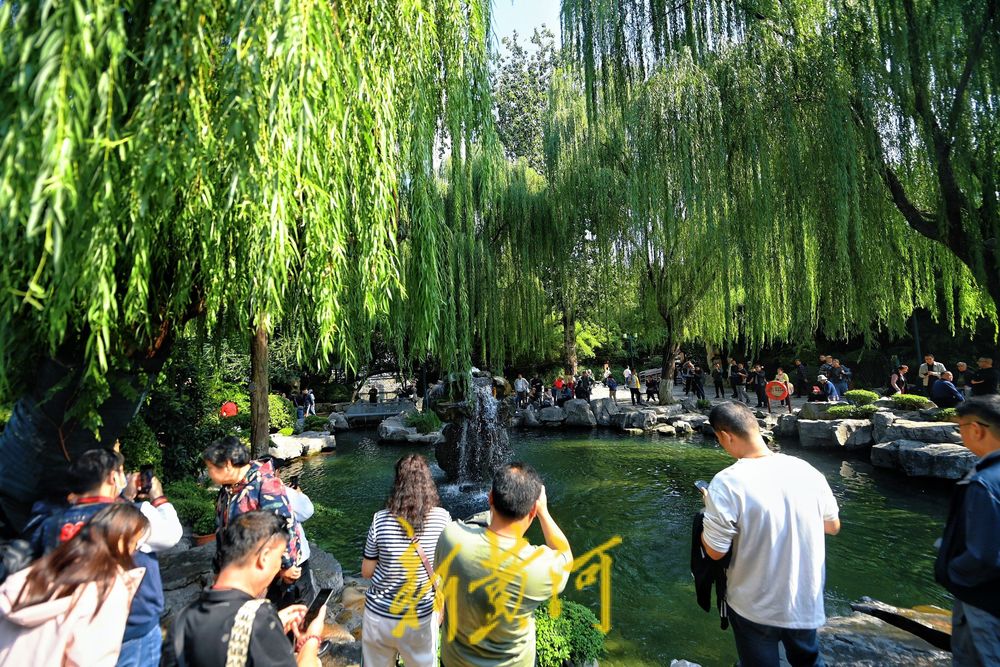 一年四季 泉在济南丨趵突泉水位刷新纪录，五龙潭“月牙飞瀑”胜景壮观