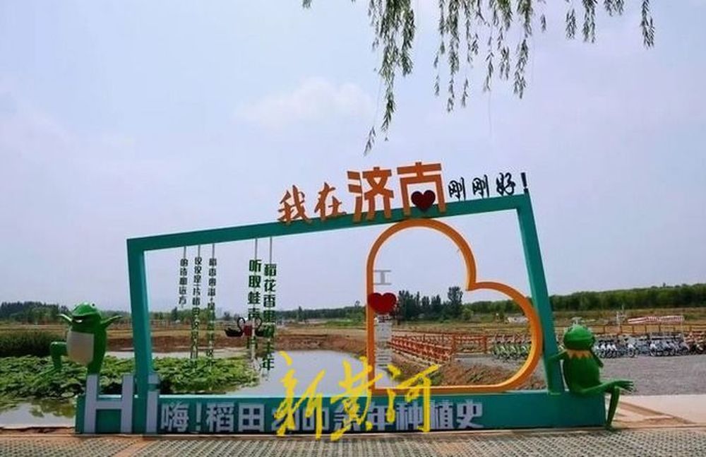 产业“金钥匙”邂逅数字“新赛道”，看“三农”发展的“济南答卷”