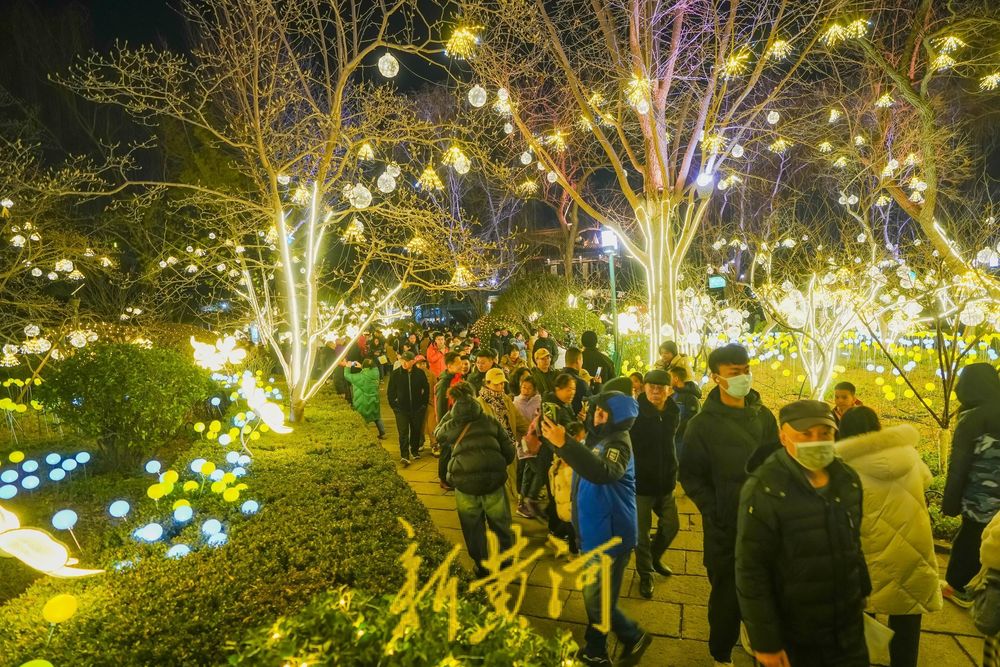 “泉”在济南过大年 