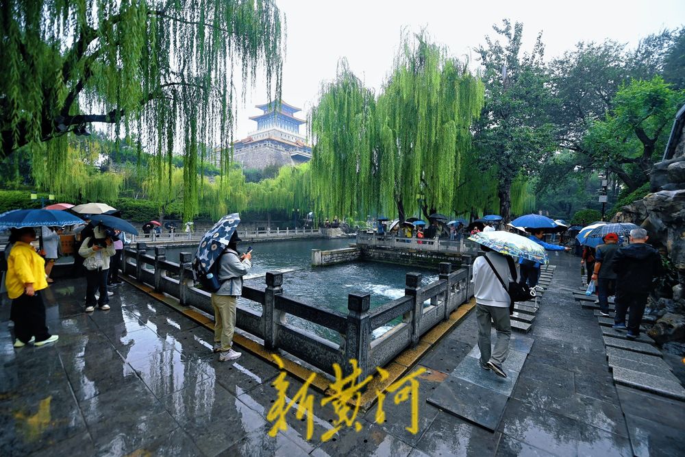 黑虎泉水位创有水文记录以来新高，泉水溢出洞口汇聚成溪引游人惊叹