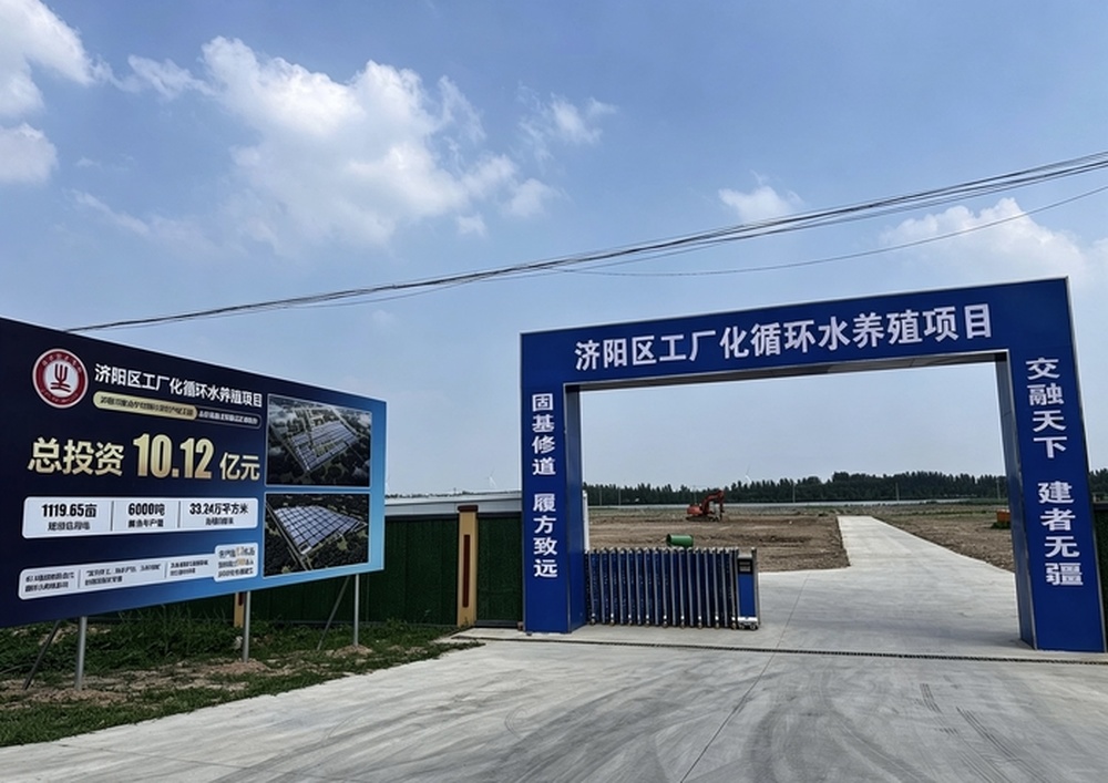 手机一点远程养鳜鱼 济南“天下渔仓”瞄准亿元全产业链
