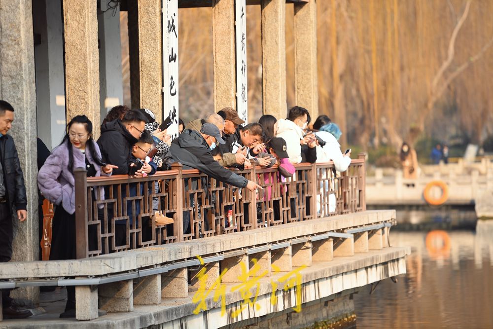 腊月暖如春，济南五龙潭游人如织欢乐多 