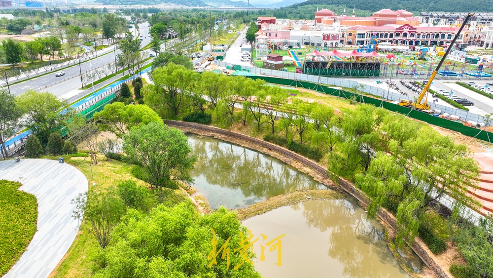 放眼皆是绿！济南杨家河两岸绿化提升工程有新进展