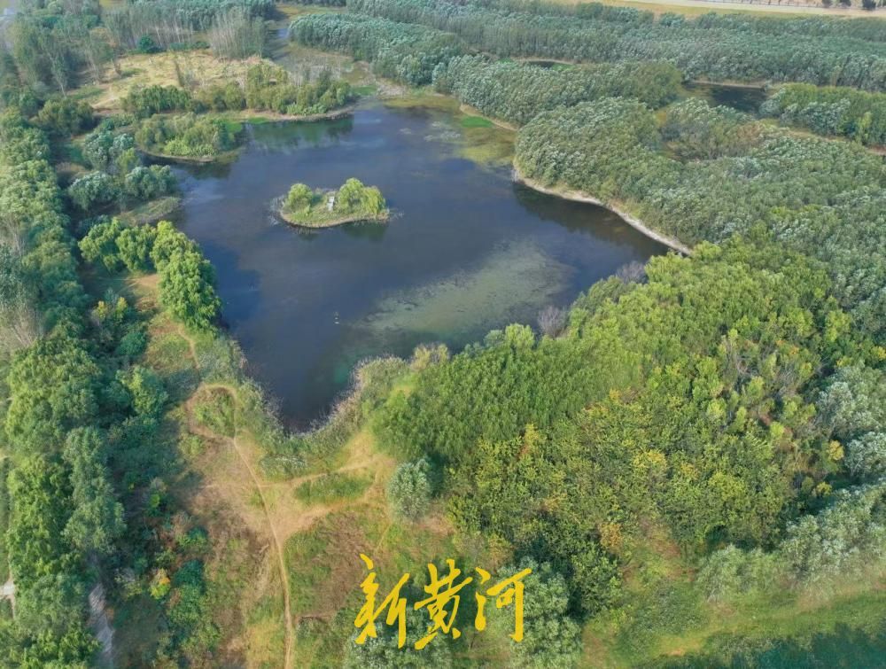 赏秋好去处，济南小清河源头湿地公园美景上线