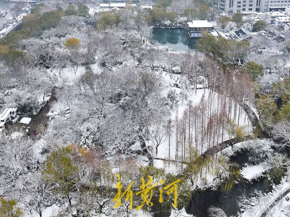 玉树琼枝，静谧如画！济南护城河雾霭流云，五龙潭琼枝映雪