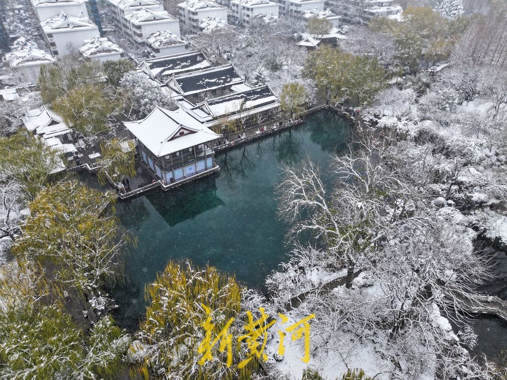 玉树琼枝，静谧如画！济南护城河雾霭流云，五龙潭琼枝映雪