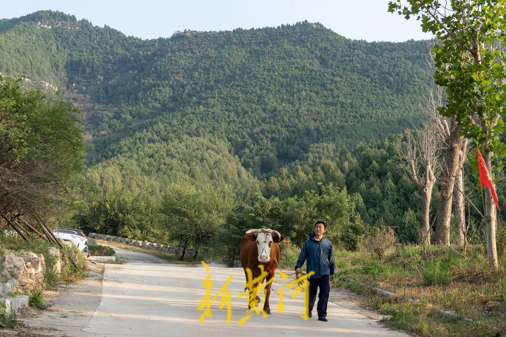 登高望远！秋入蟠龙山，尽享泉城美景