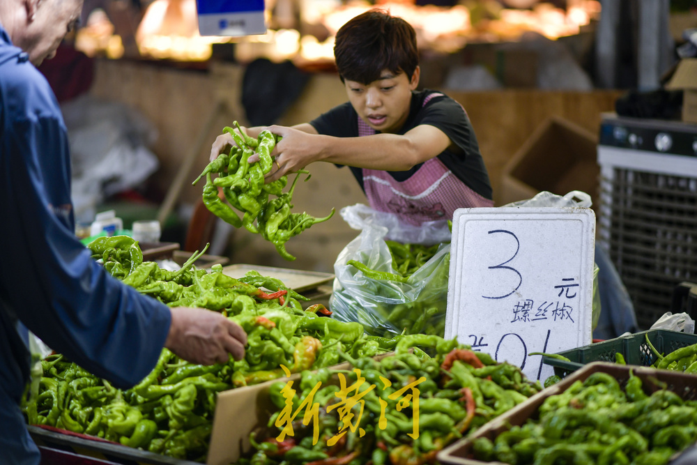 济南蔬菜15涨27降25平，青叶类价格进一步回落  