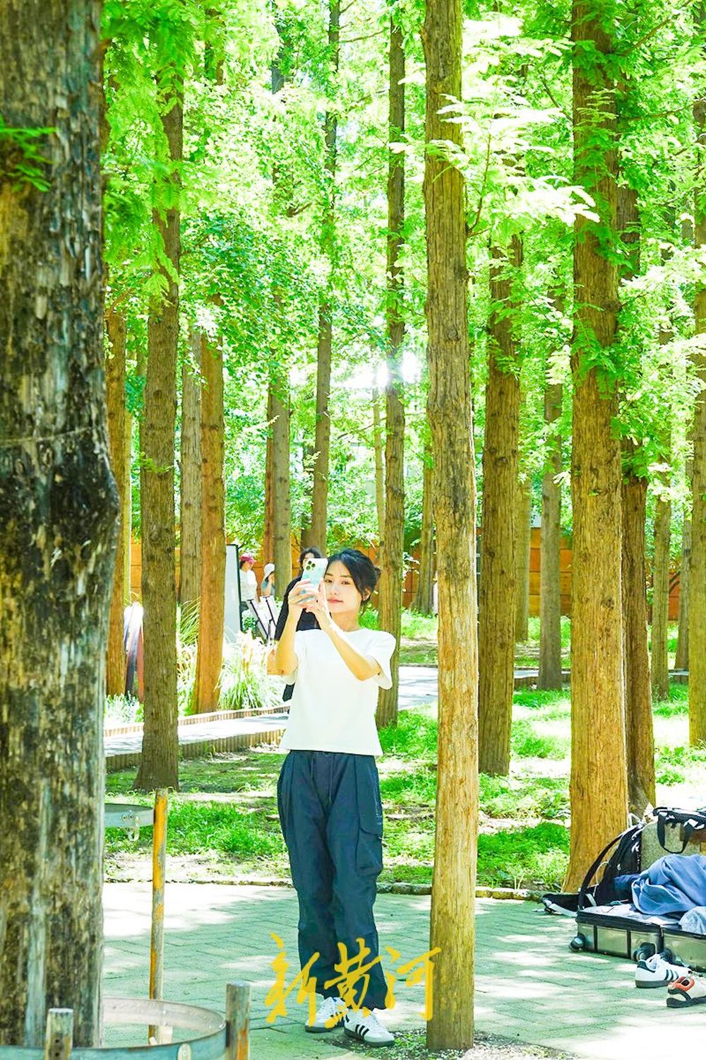 工业风邂逅水杉林，济南泉城公园打造“林间艺术空间”