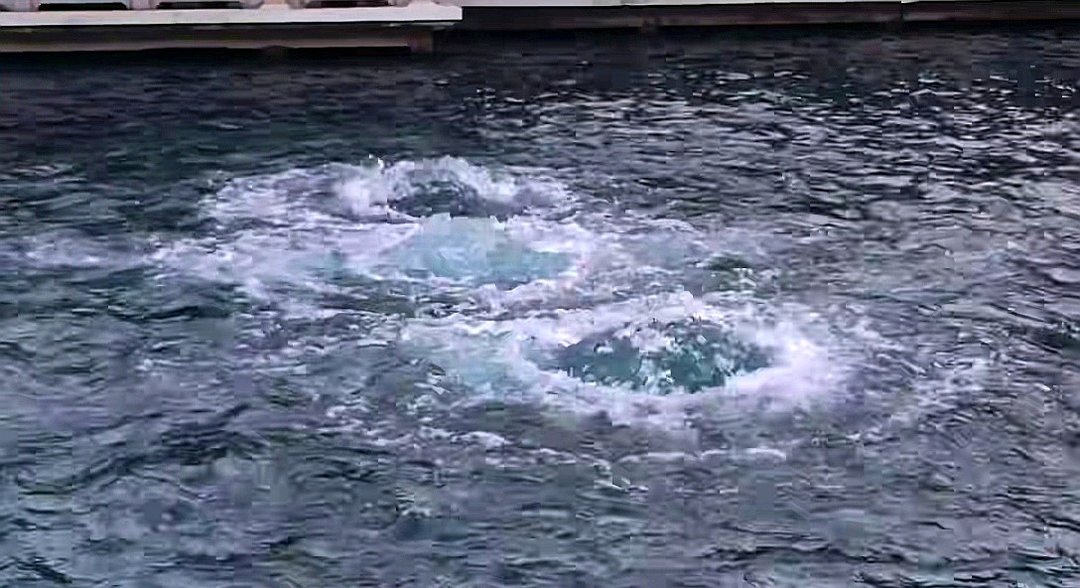 济南地下水位大幅上涨，千泉竞涌盛景“超长待机”