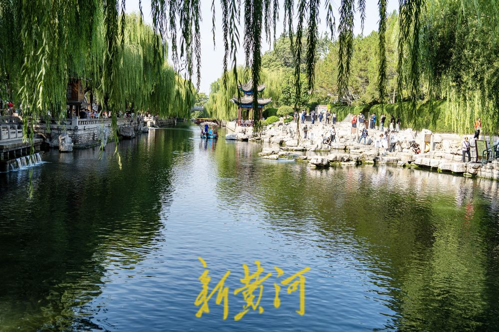 泉涌鱼欢庆佳节！济南黑虎泉畔乐享好时光