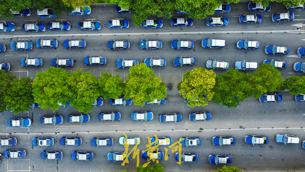 见首不见尾！出租车长队下午扎堆出没济南西站 