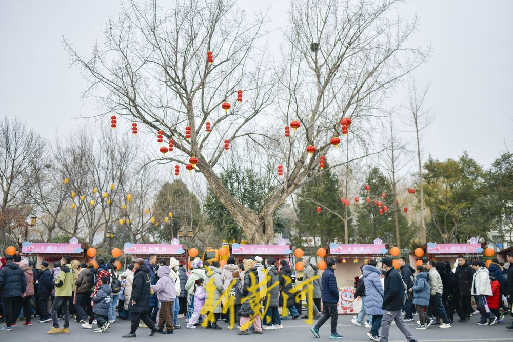 “泉”在济南过大年 