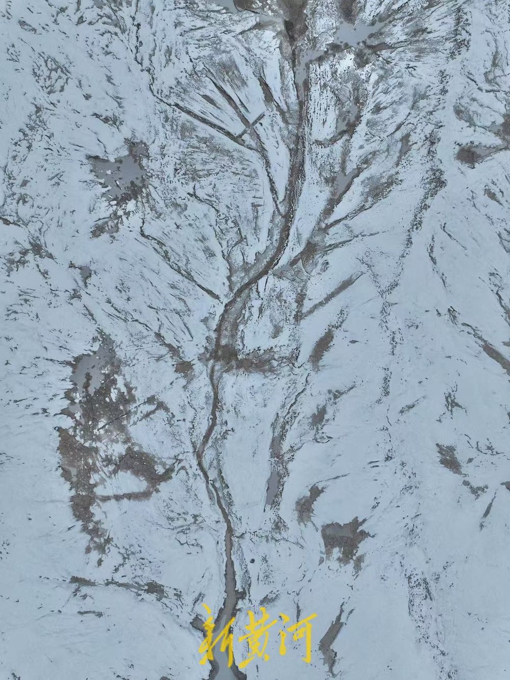 “冰雪潮汐树”现身济南黄河北岸，尽显自然之美