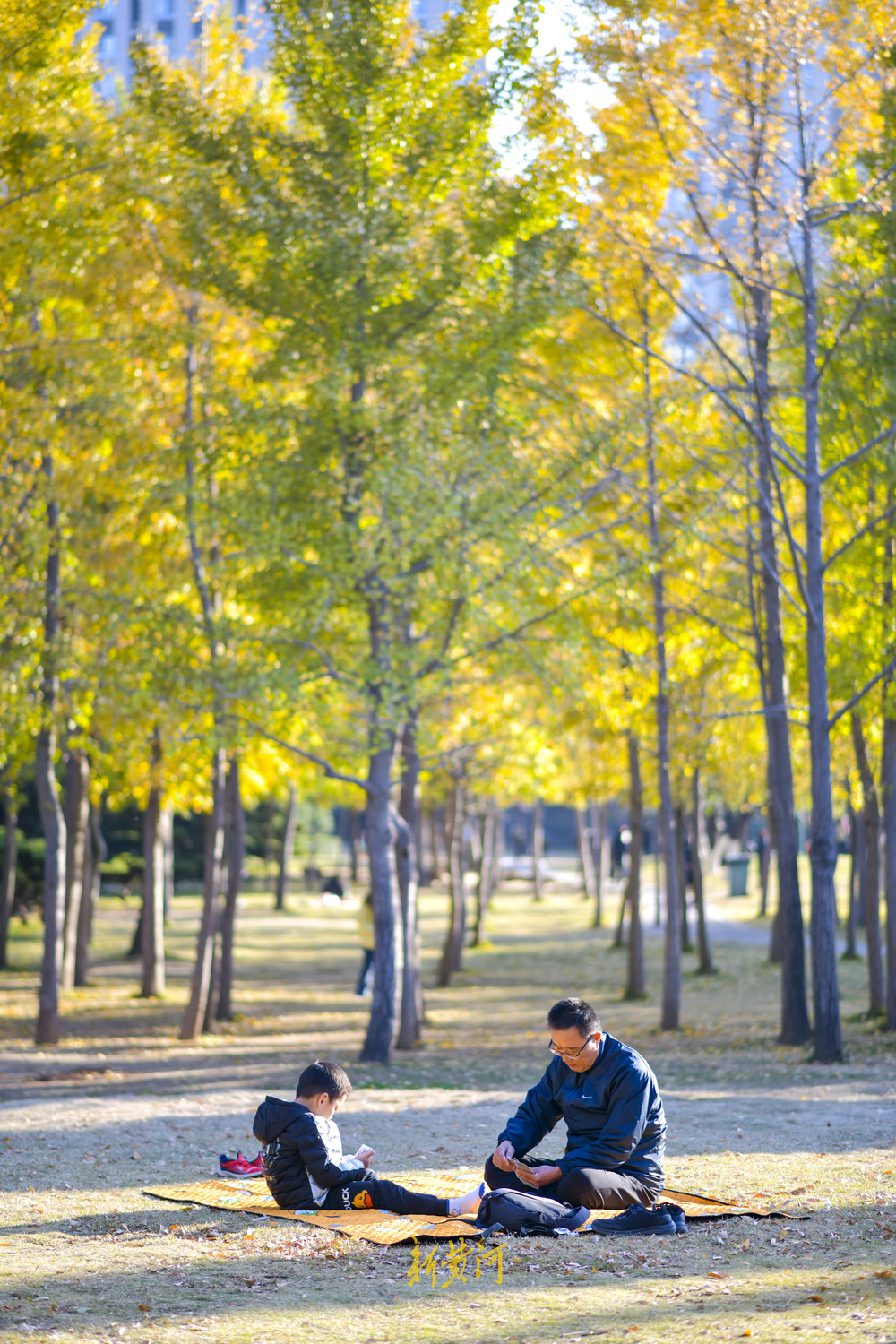 气温回升秋去秋又回  最美共享绿地感受初冬暖阳