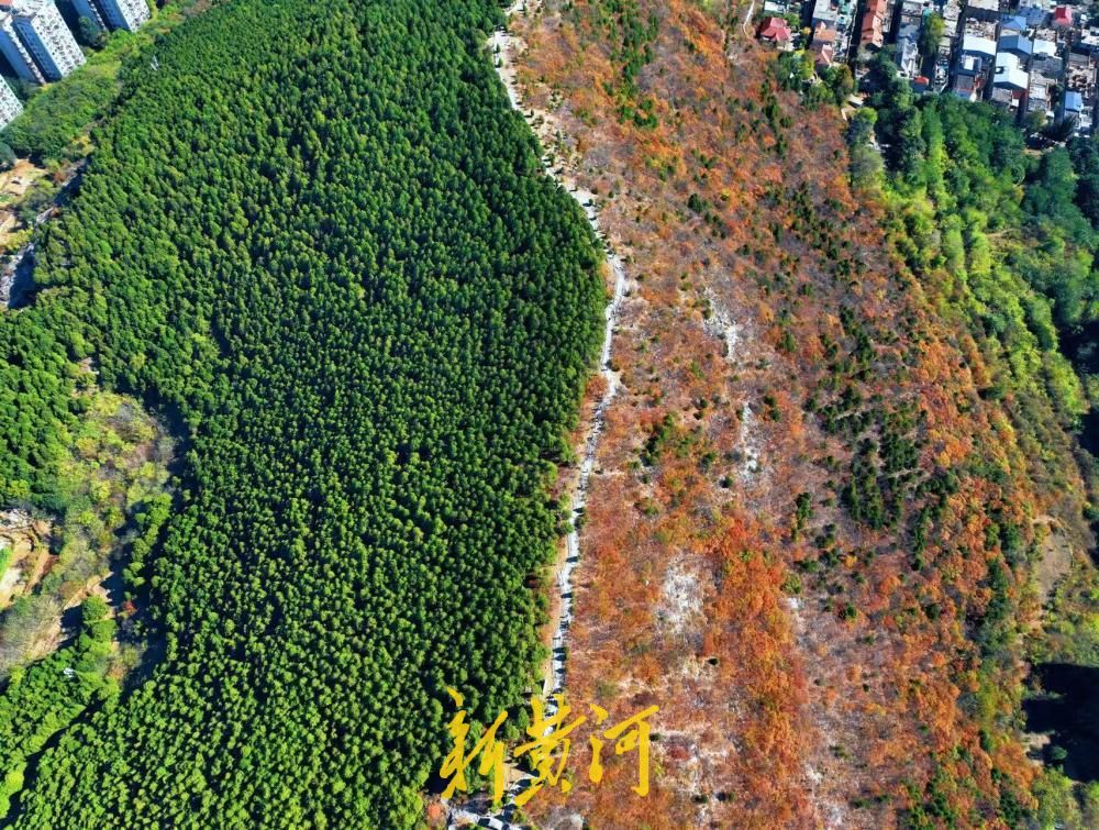 深秋赏叶，济南蝎子山“鸳鸯锅”上线