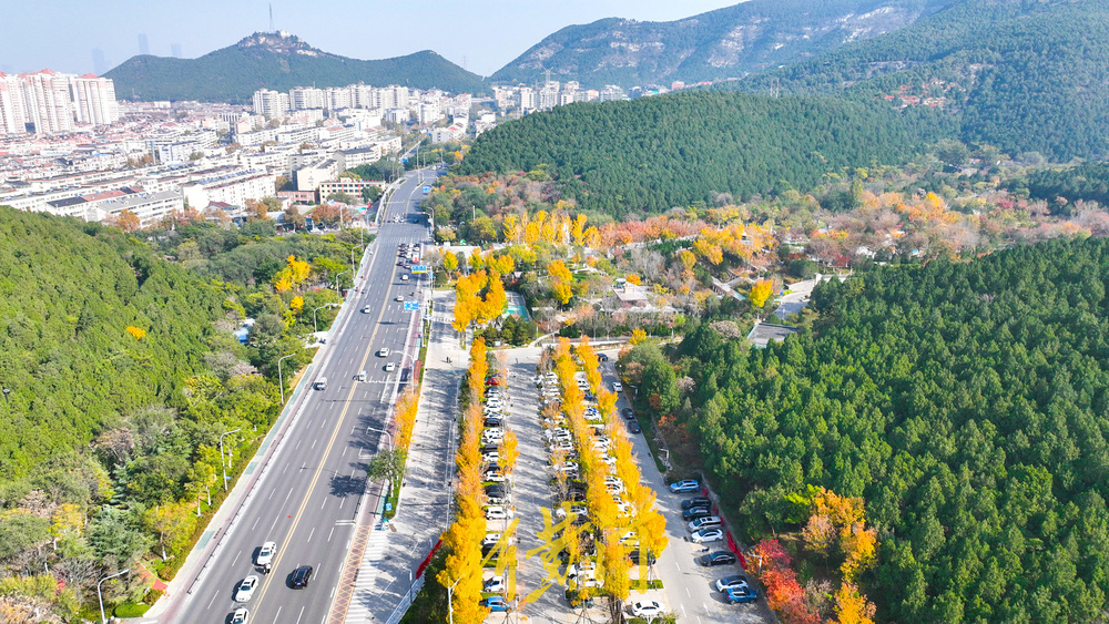 旅游路变身“初冬画廊” 千佛山南麓现层林尽染美景