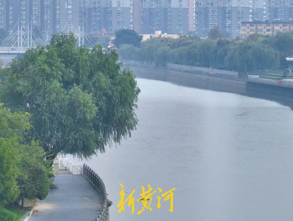 秋雨薄雾笼罩，济南小清河美成水墨诗画
